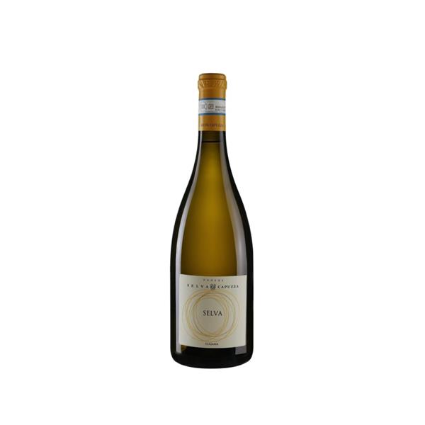 SELVA CAPUZZA Lugana Selva MAGNUM ASTUCCIO 2021 Lt. 1.5