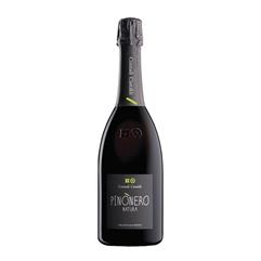 CONTADI CASTALDI Franciacorta Pinènero NATURA '11 cl.75