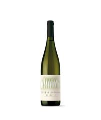 DONNA OLIMPIA Bolgheri Bianco 2021 cl.75
