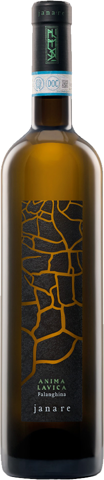 LA GUARDIENSE Falanghina Del Sannio Dop ANIMA LAVICA 2022 Cl.75