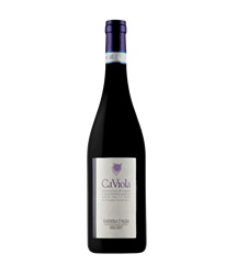 CA VIOLA Barbera d'Alba BRICHET 2021 Cl.75 15%