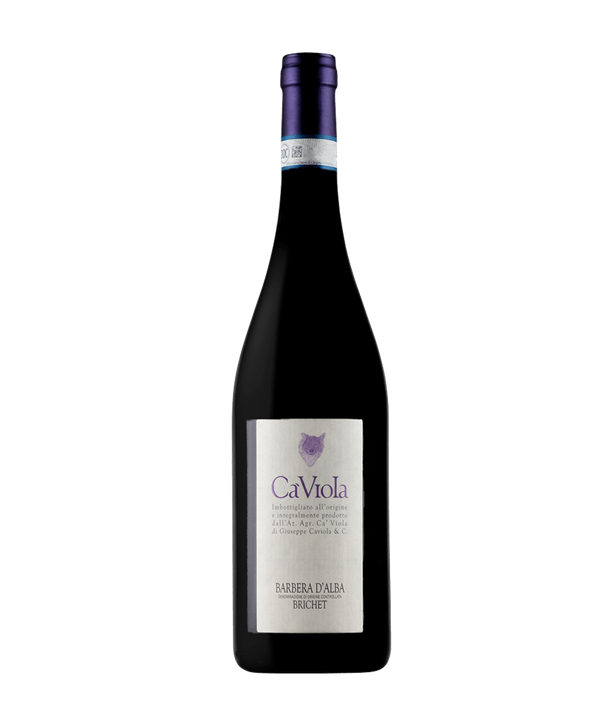 CA VIOLA Barbera d'Alba BRICHET 2021 Cl.75 15%